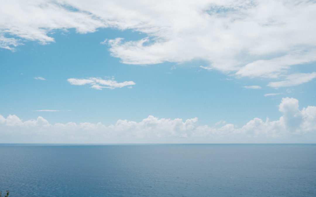 Minerva Bunkering Introduces Carbon Neutral Marine Fuel Offering